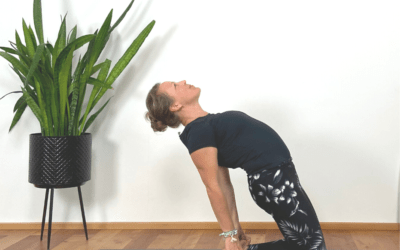 YOGA FÜR HORMONBALANCE