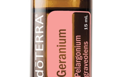 GERANIUM – UNTERSTÜTZT DEINE HORMONE